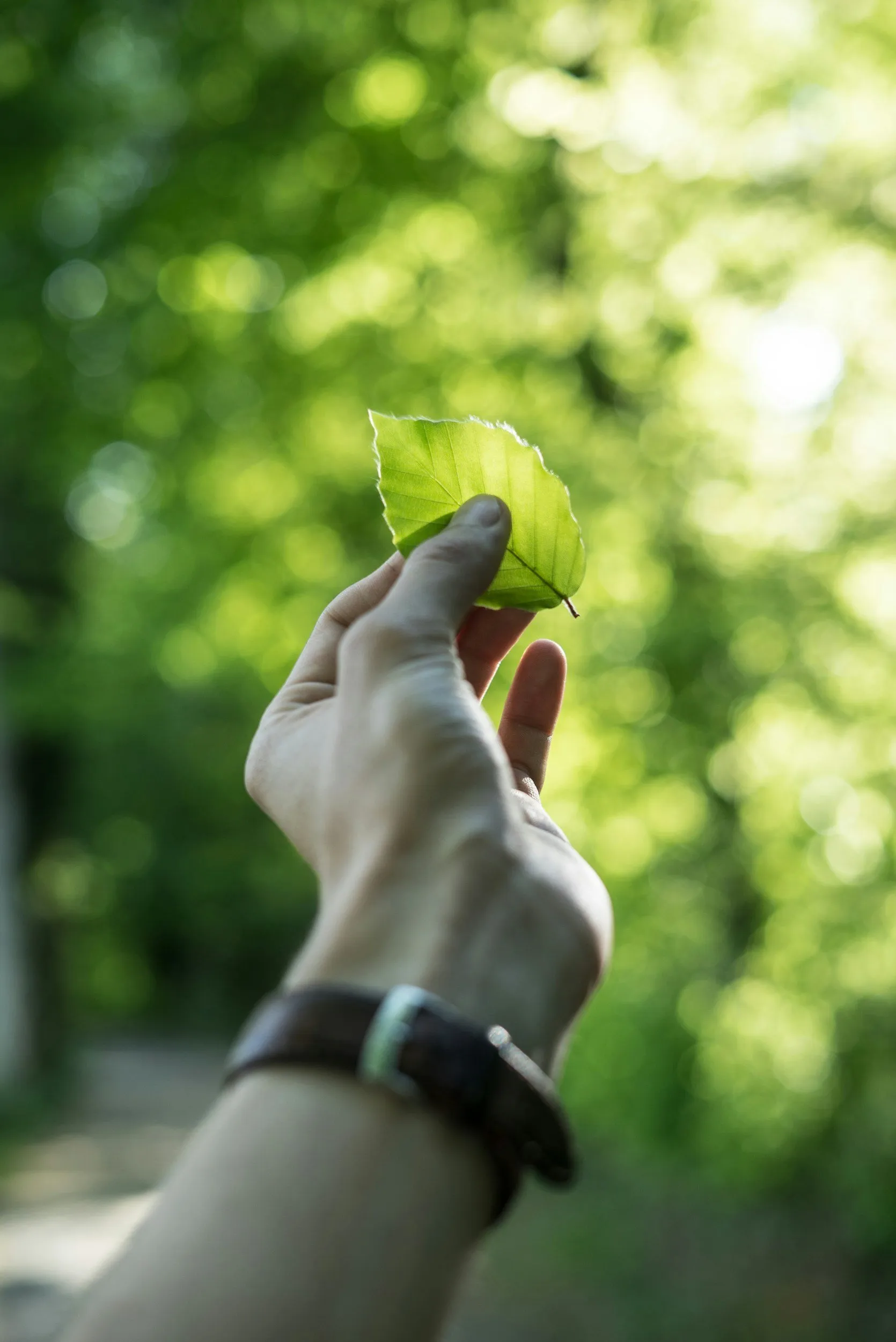 Seguridad Ambiental